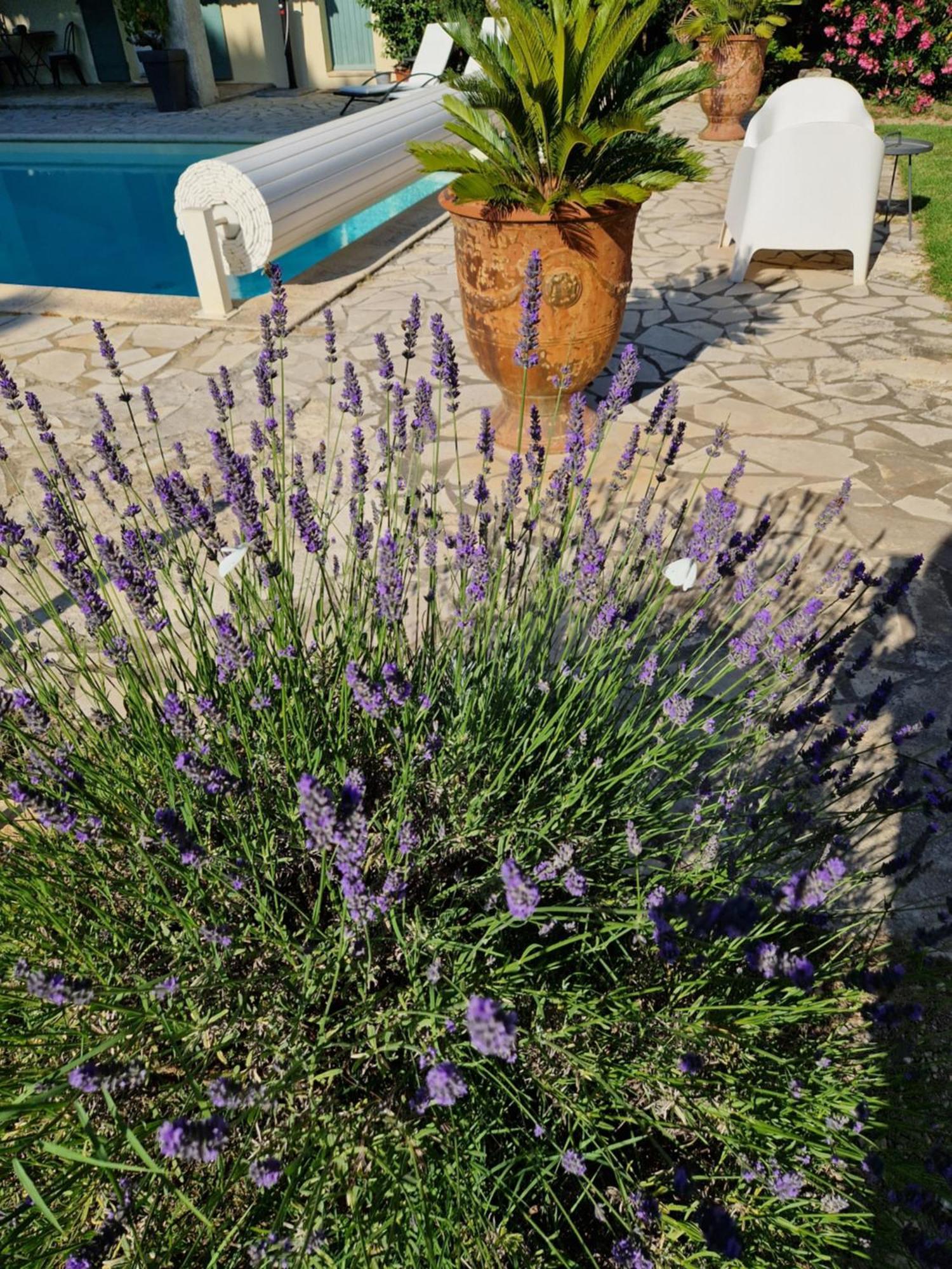 Bed and Breakfast Mas Armelin Tarascon Exterior foto